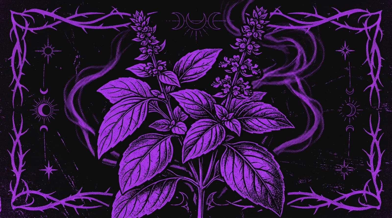 Purple and black screenprint illustration of sweet basil leaves and botanical stem