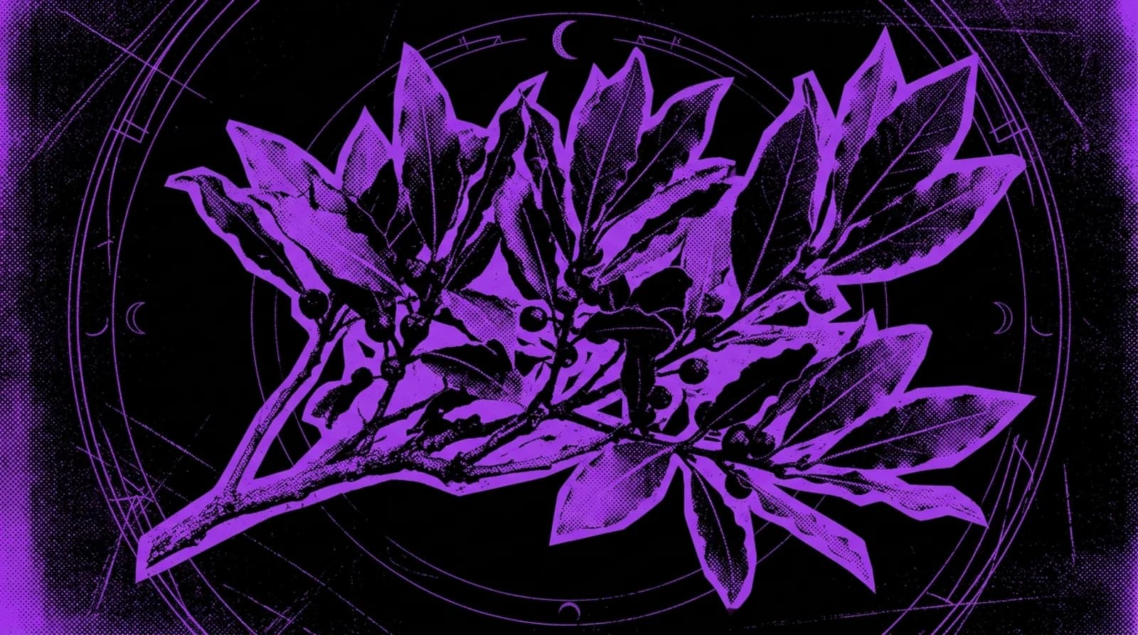 Purple and black screenprint illustration of whole bay laurel leaves with solar aura