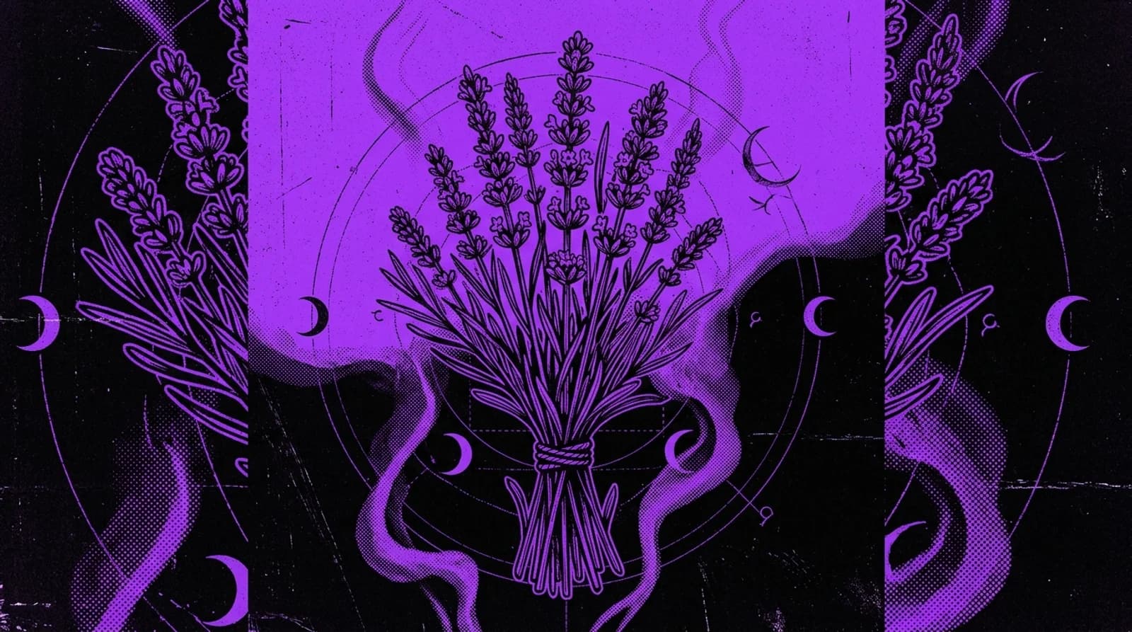 Purple and black screenprint illustration of flowering lavender spikes and slender leaves
