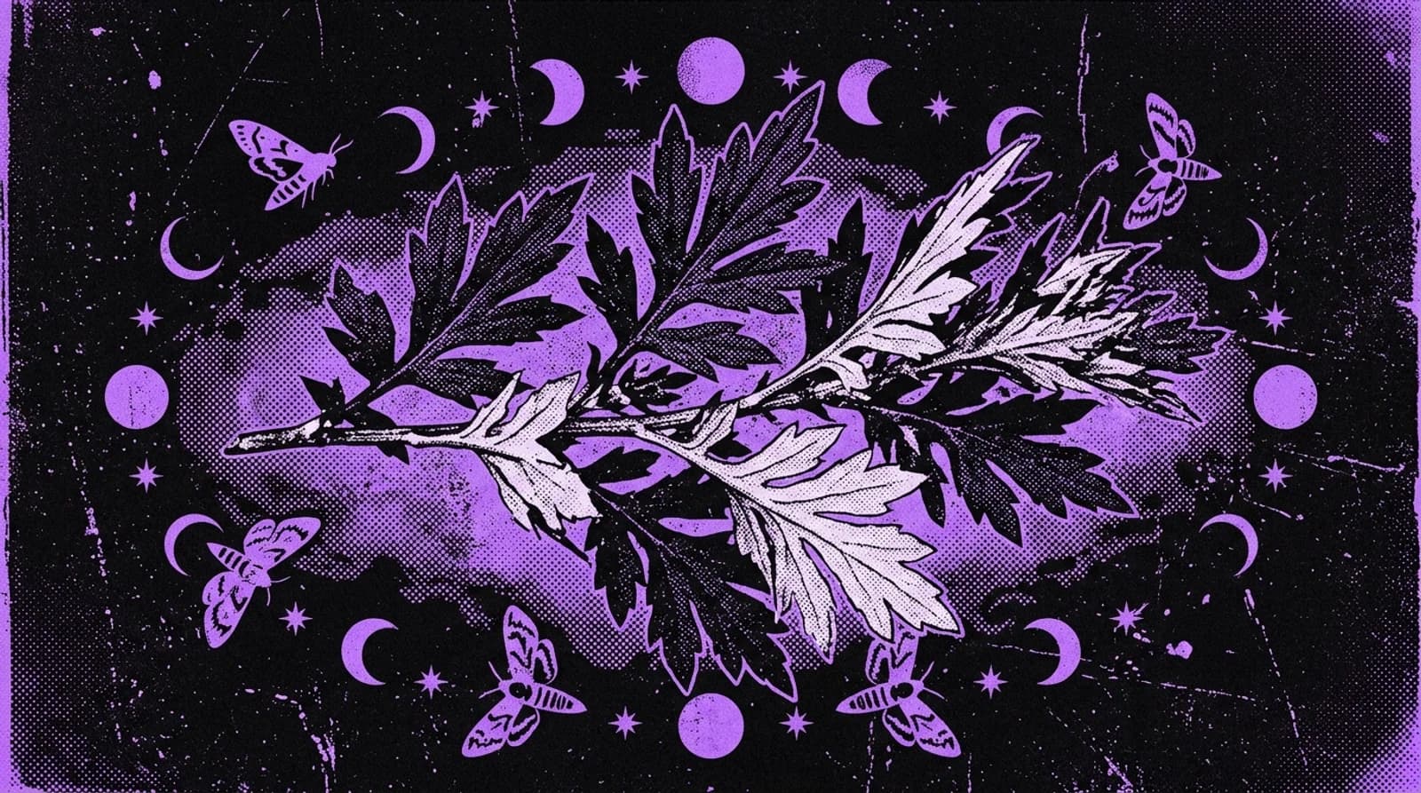 Purple and black screenprint illustration of pinnatifid mugwort leaves and night moths
