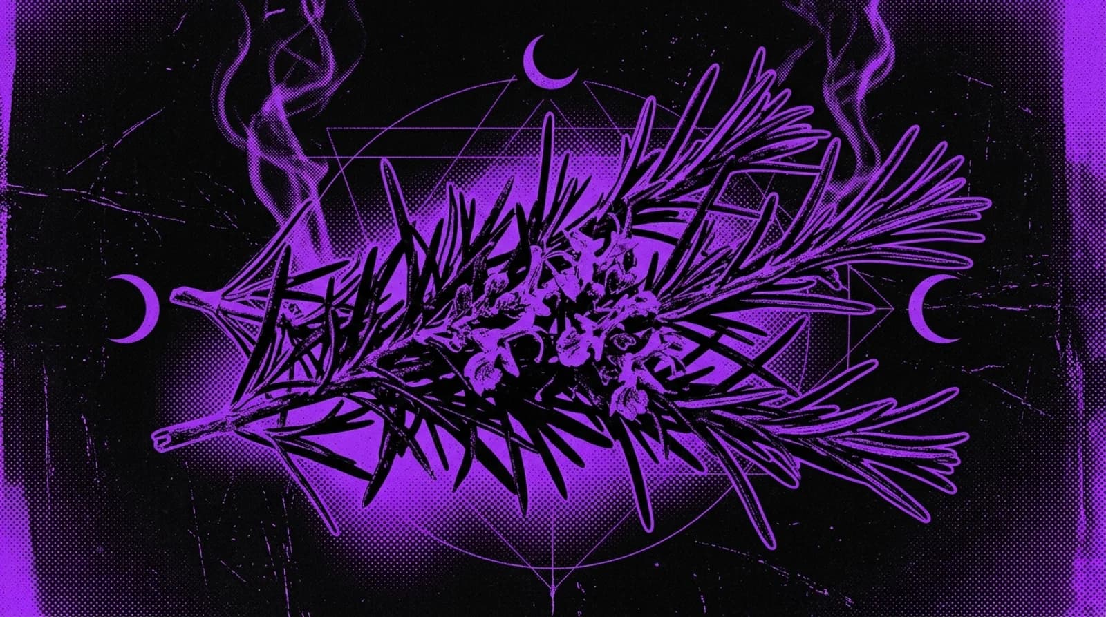 Purple and black screenprint illustration of rosemary sprigs and botanical needles