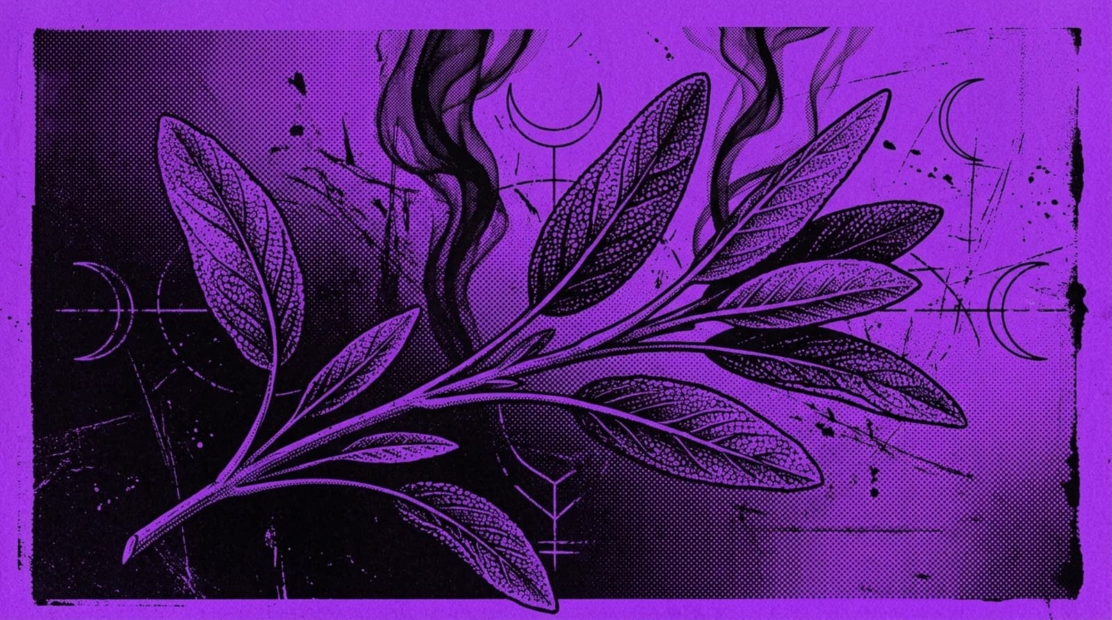 Purple and black screenprint illustration of pebbled garden sage leaves on a woody stem